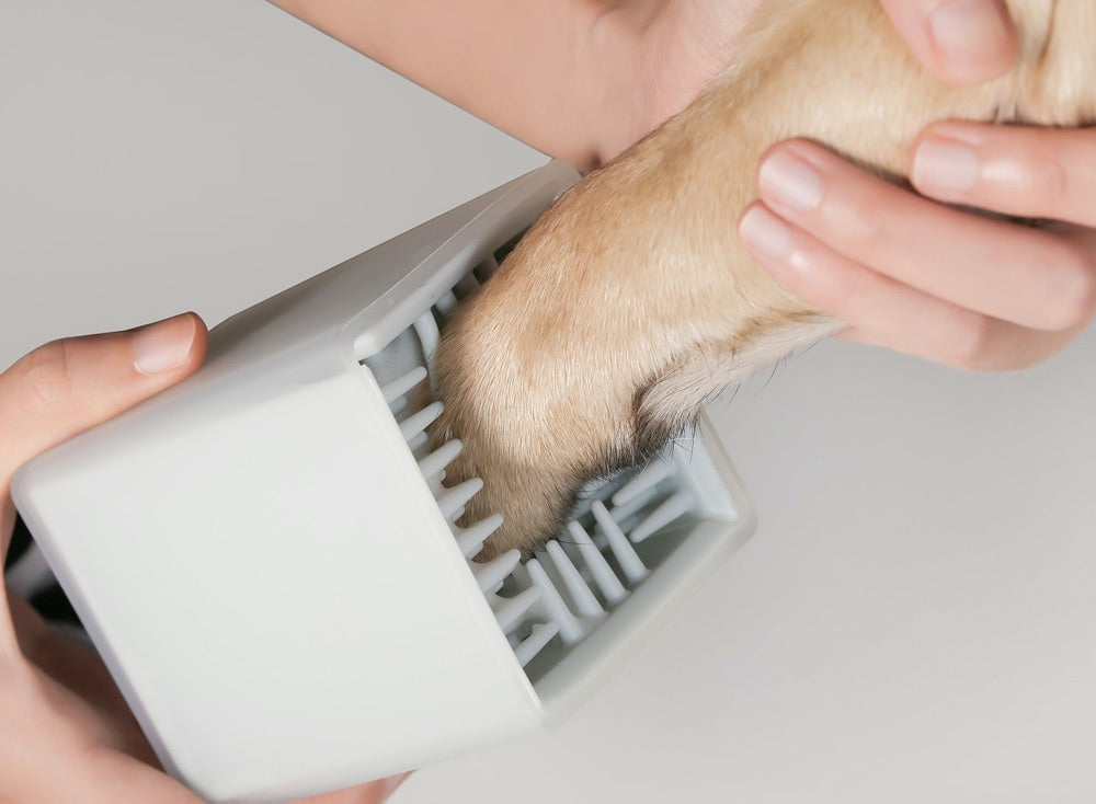 Pidan Paw Cleaning Cup