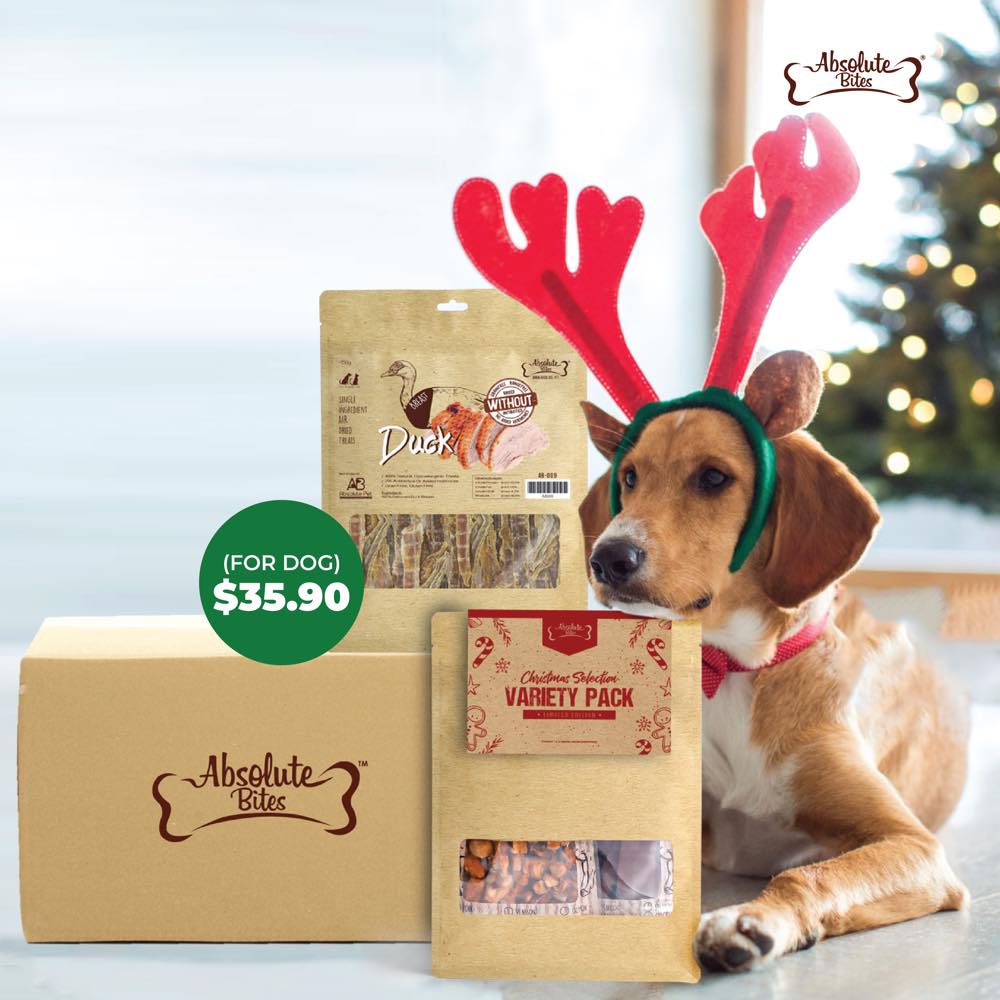 Absolute Bites Dog Treats Surprise Box