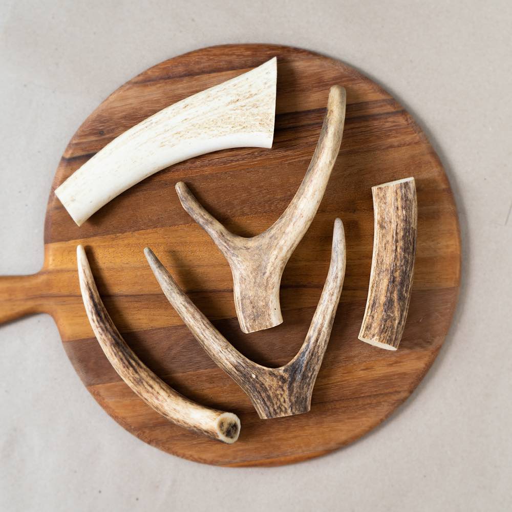 Boneve Earthmade Free-Range Grass-Fed Venison Antler (Medium) Air-Dried Dog Chew 1pc