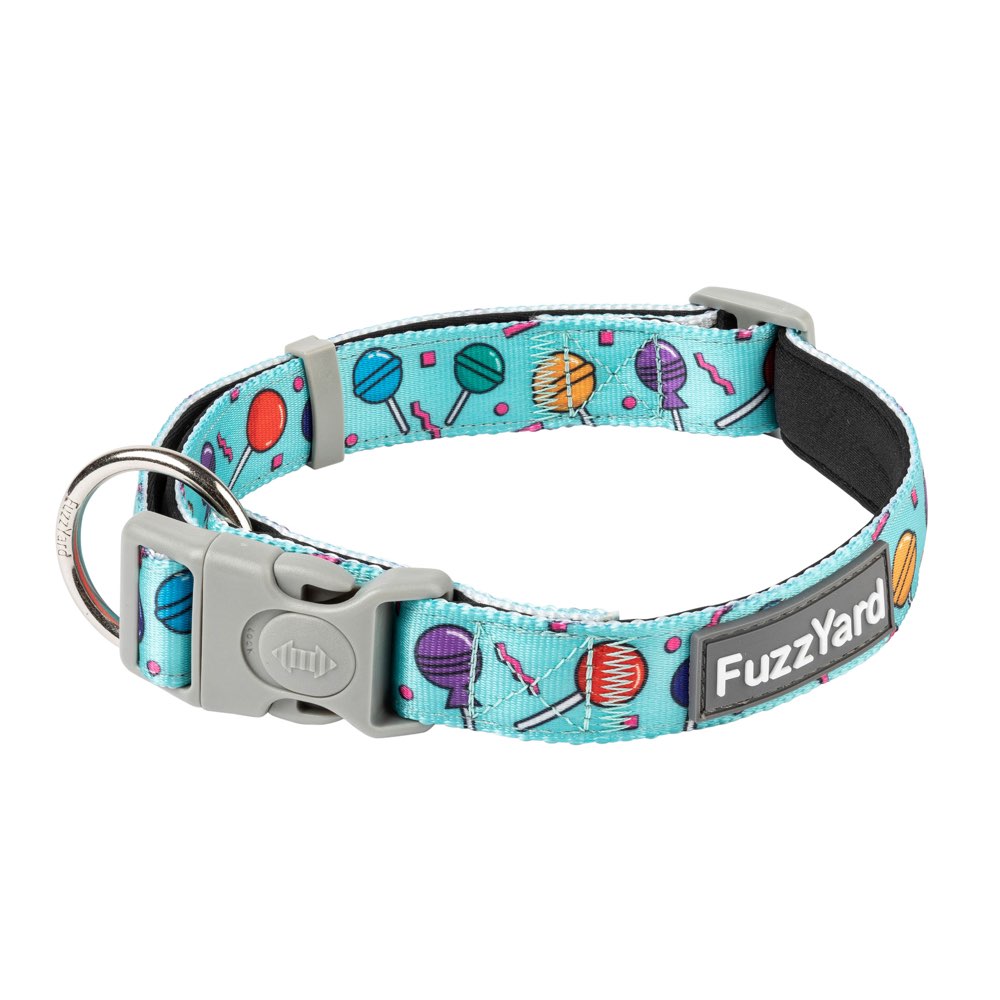 FuzzYard Dog Collar (Hey Suckers!)