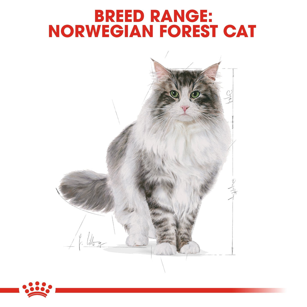 Royal Canin Norwegian Forest Adult Dry Cat Food 2kg