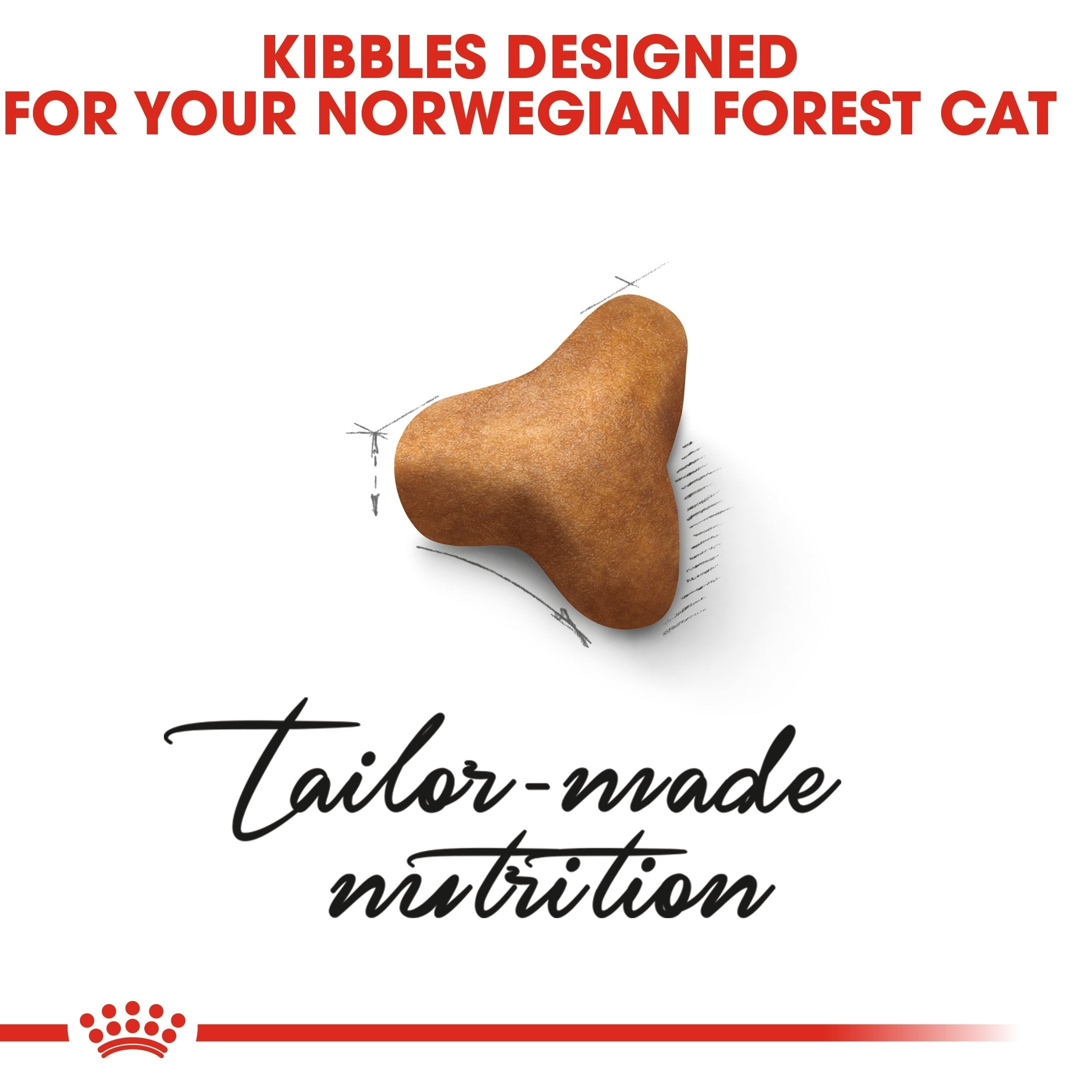 Royal Canin Norwegian Forest Adult Dry Cat Food 2kg