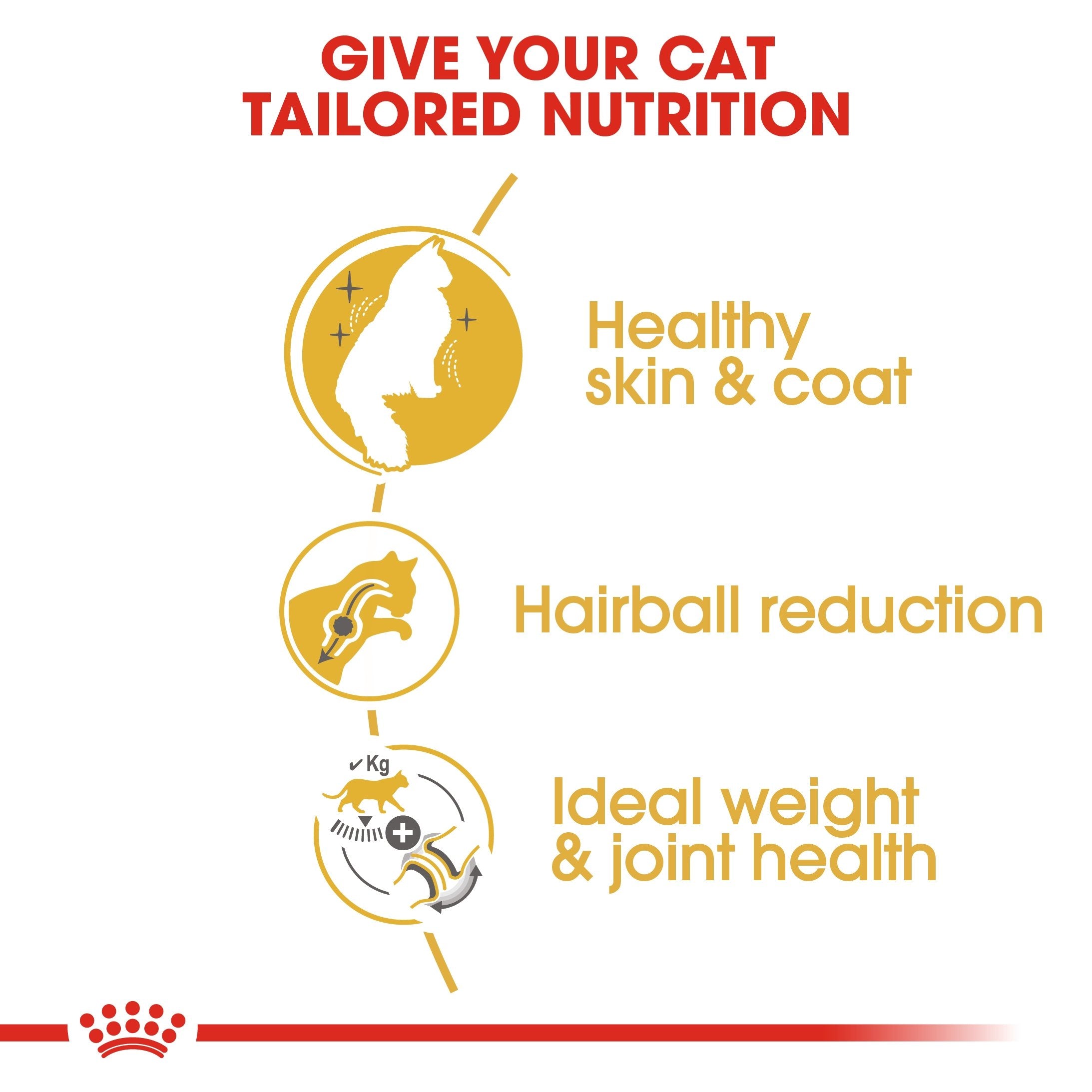 Royal Canin Norwegian Forest Adult Dry Cat Food 2kg