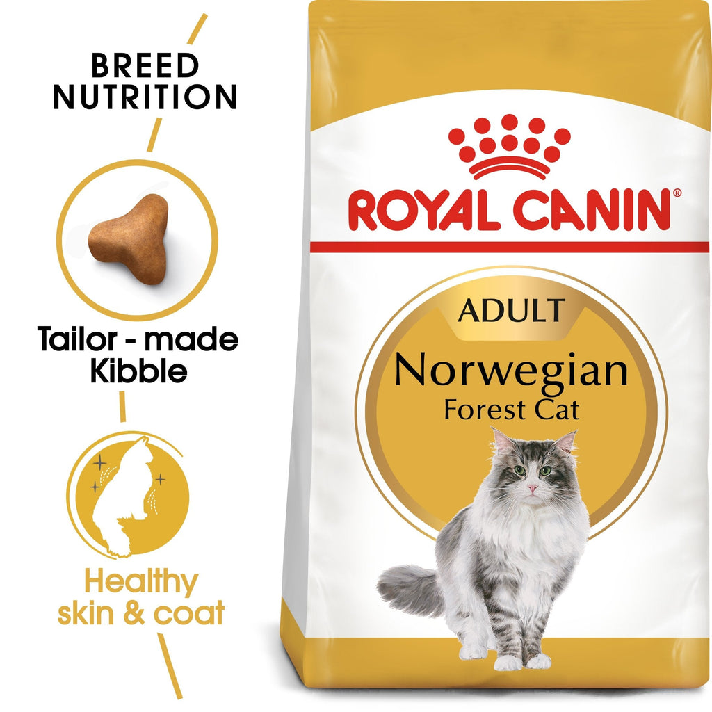 Royal Canin Norwegian Forest Adult Dry Cat Food 2kg